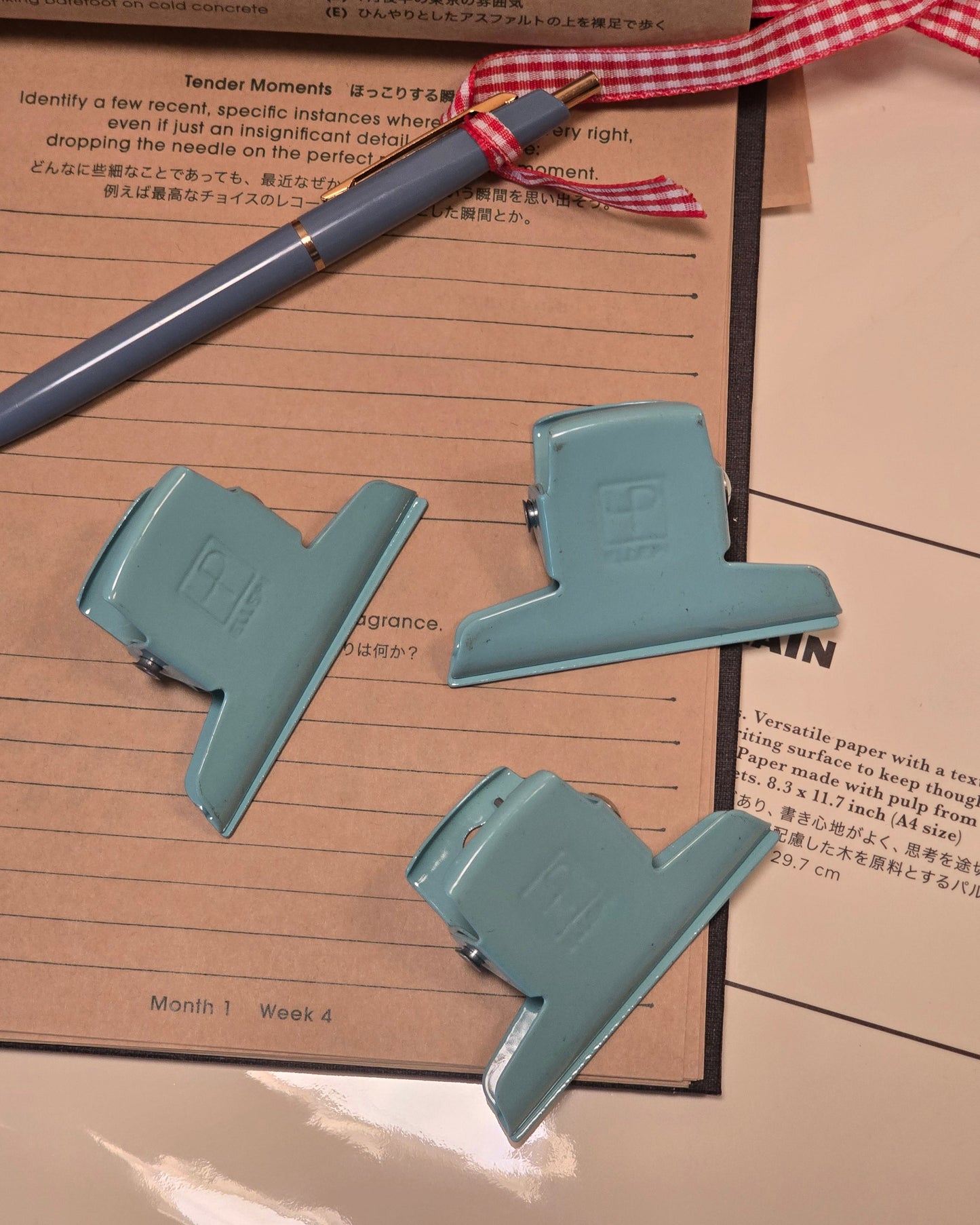 Metal Clips in Mint 7 cm