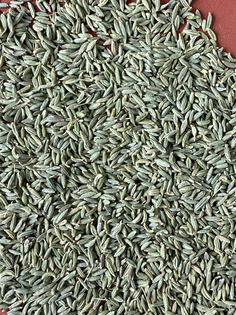Floral Fennel