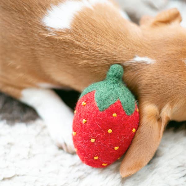 Red Strawberry Wool Dog Toy