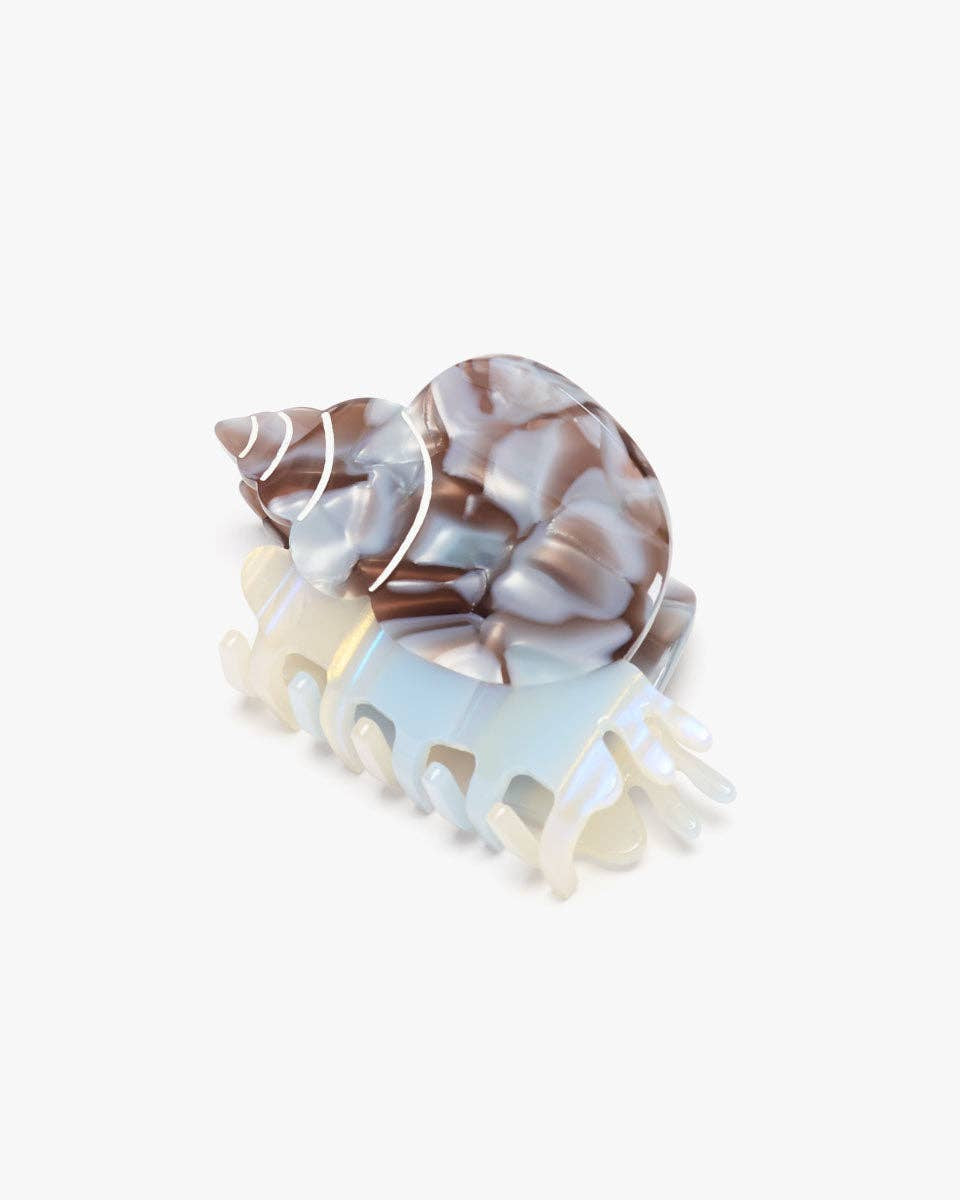 Decorative shell with a marble pattern on a white background