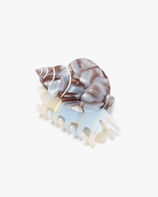 Decorative shell with a marble pattern on a white background