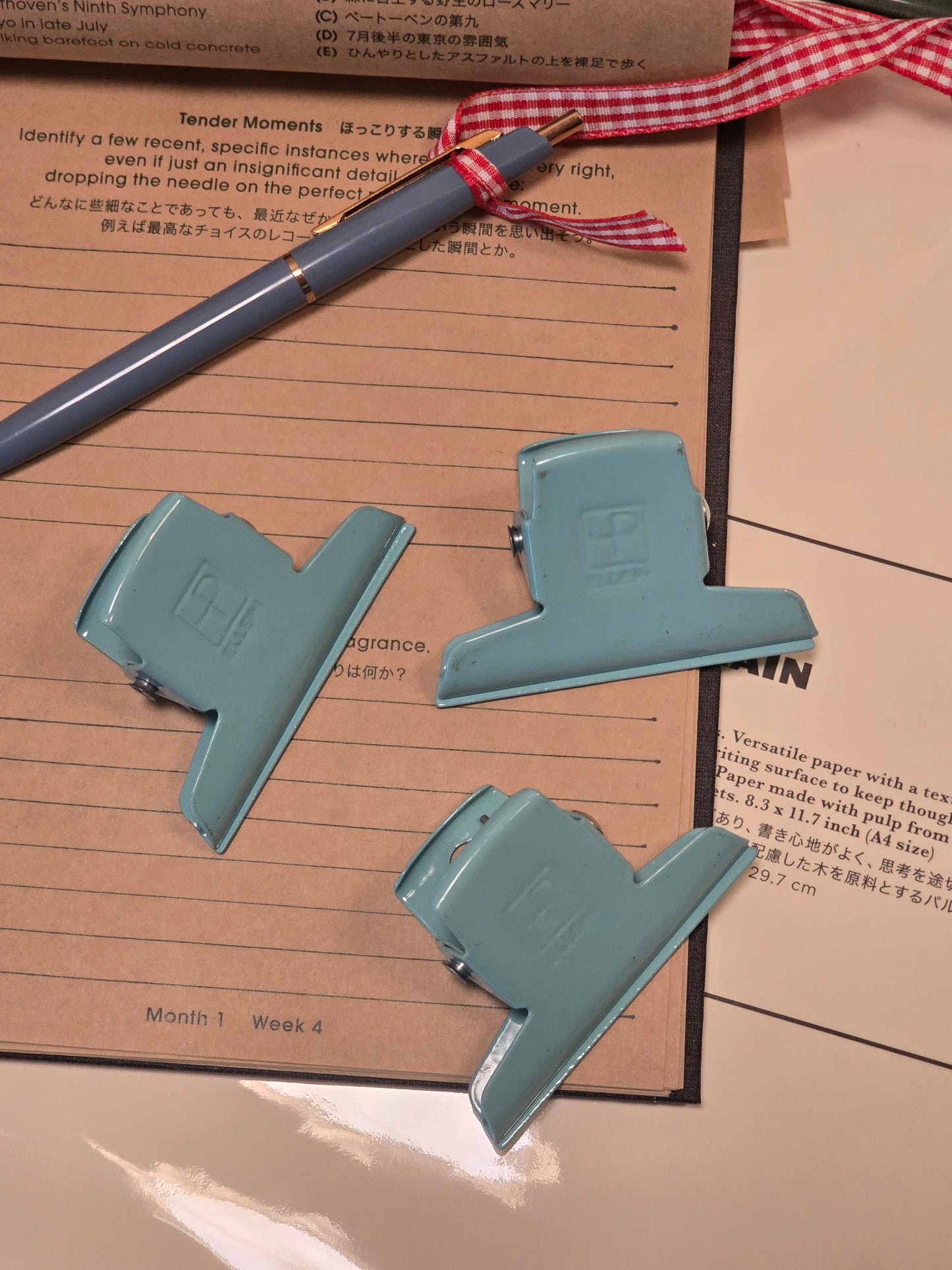 Metal Clips in Mint 7 cm