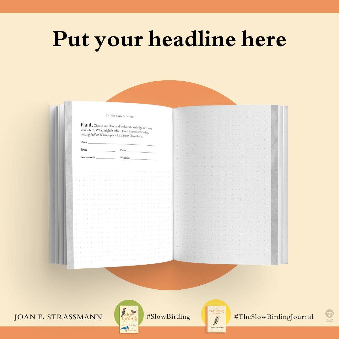 The Slow Birding Journal