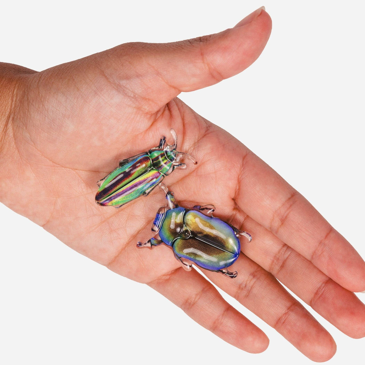 Allie Beetle Clips in Disco Diggers