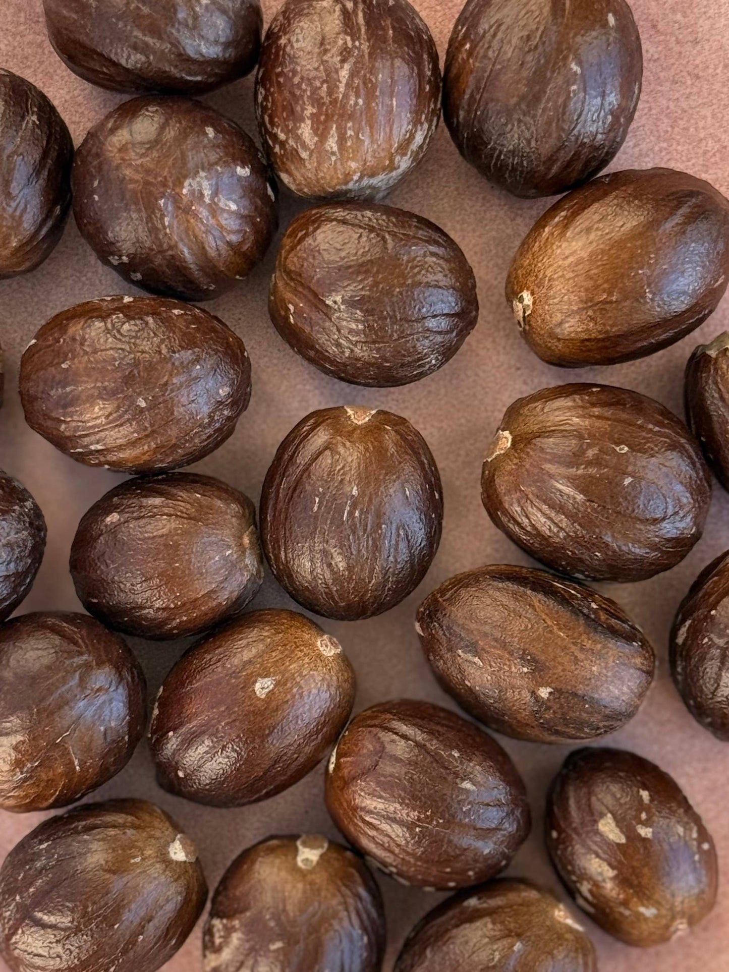 Nutmeg-in-the-shell
