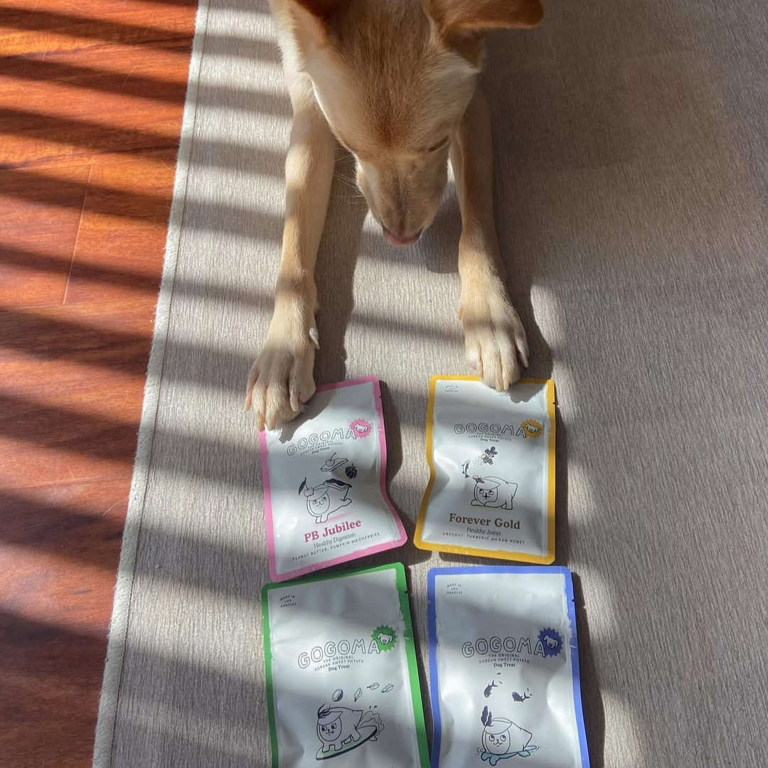 Sweet Potato Dog Treats