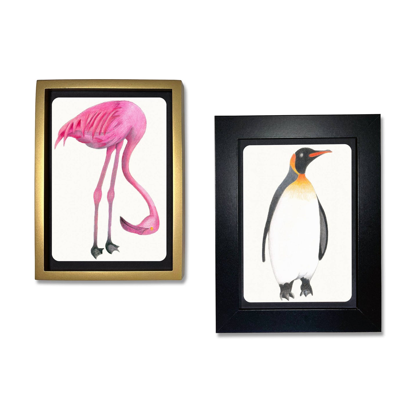 Birds Coloring Postcards - Set of 30