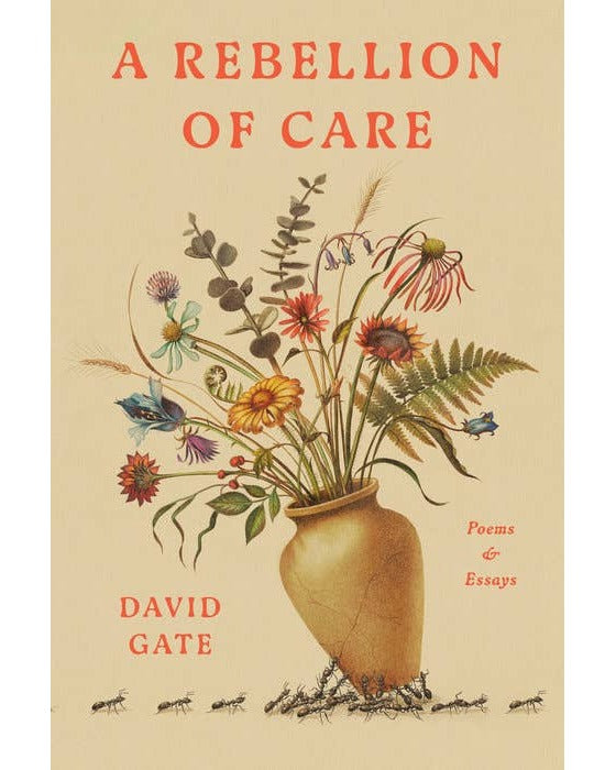 A Rebellion Of Care