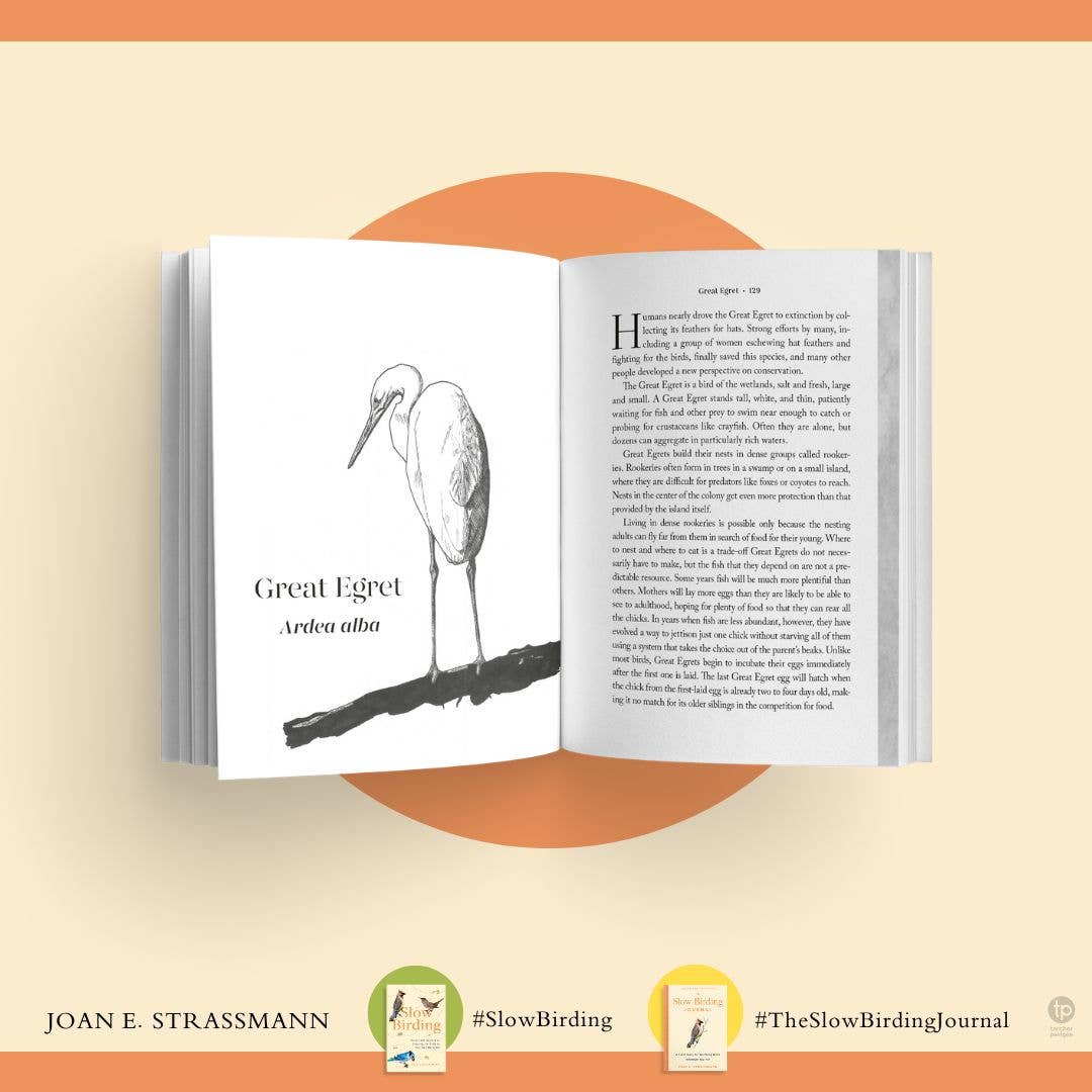 The Slow Birding Journal