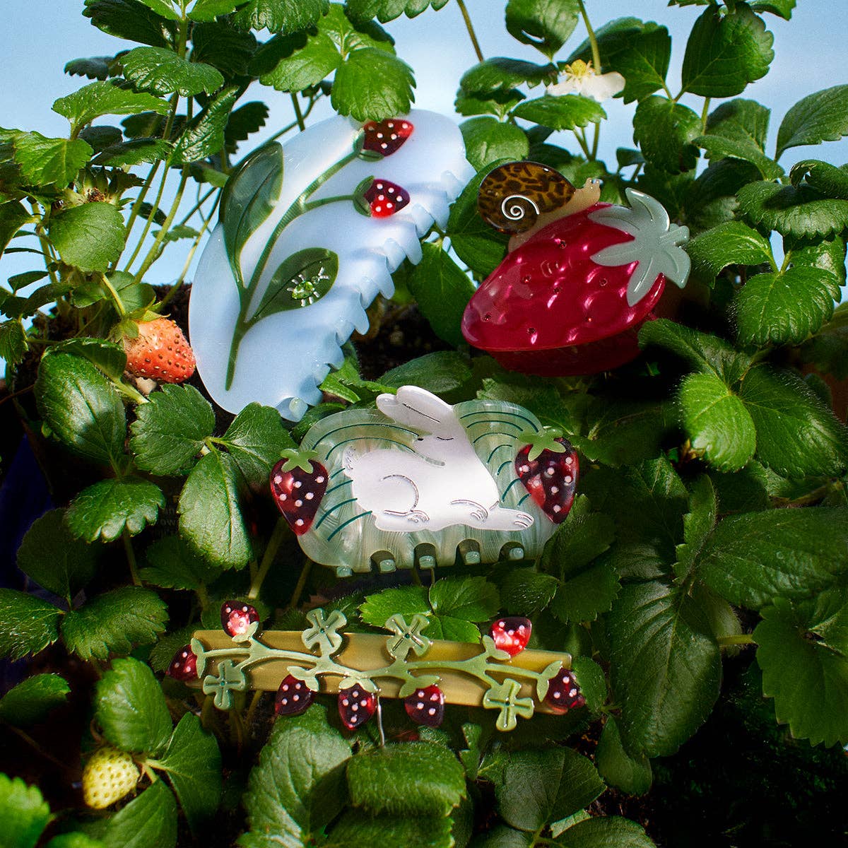 Forest Berry Claw