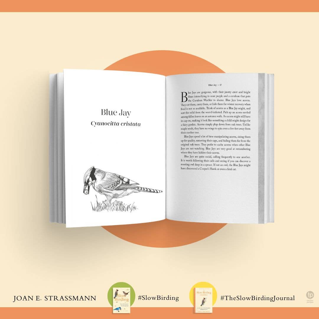 The Slow Birding Journal