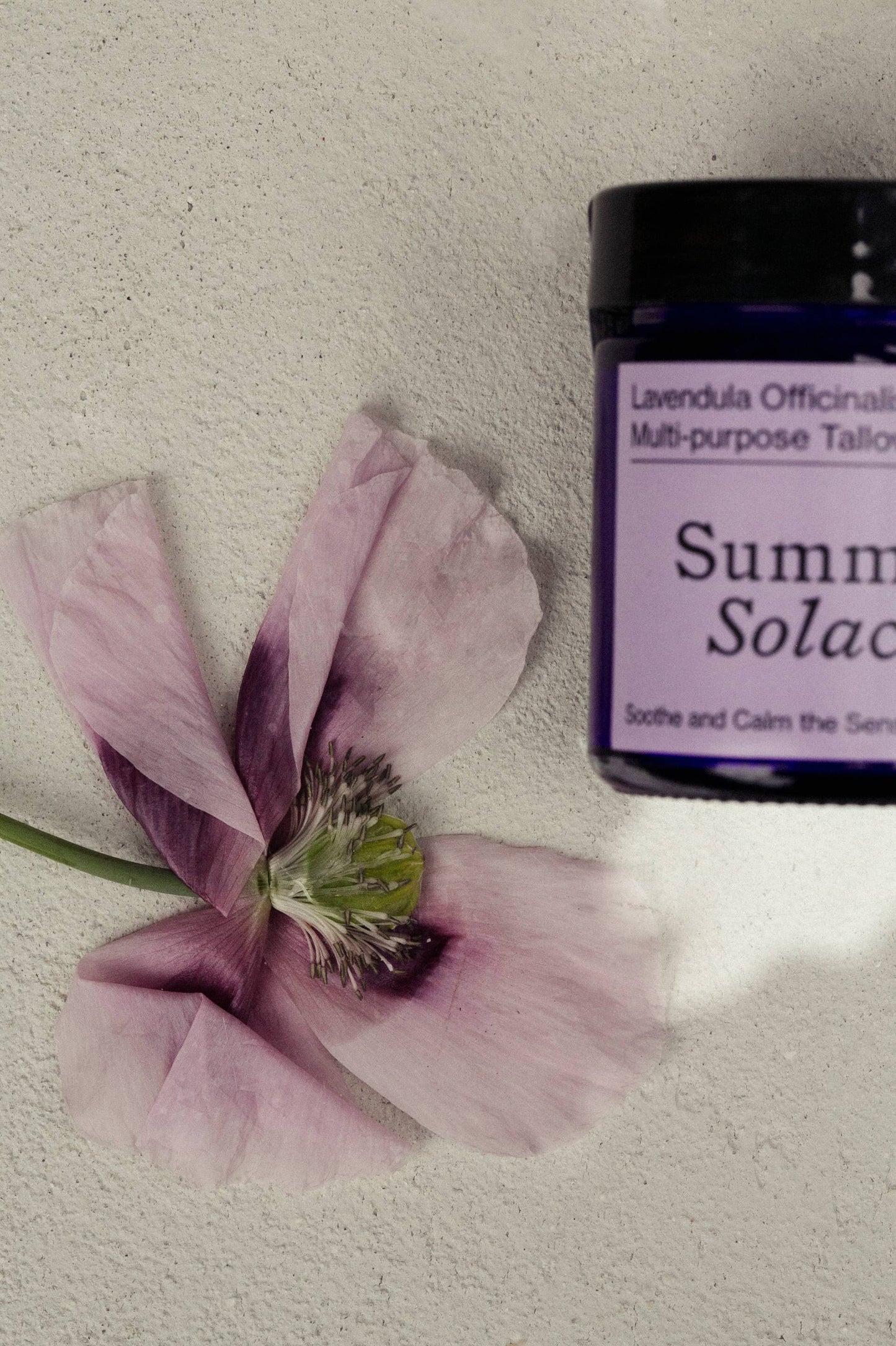Lavendula Balm – Lavender & Golden Champa, 50mL