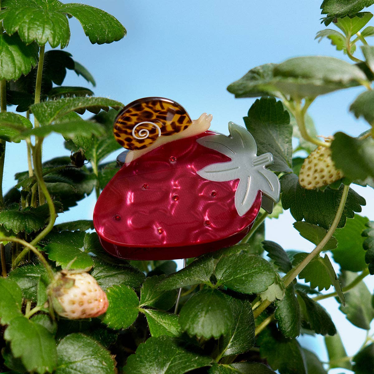 Strawberry Claw