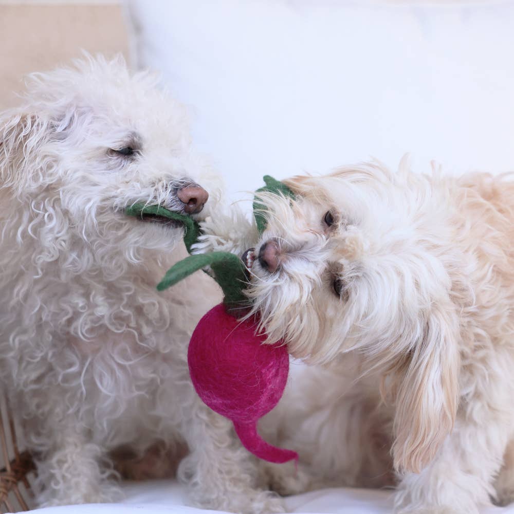 Turnip Wool Dog & Cat Toy