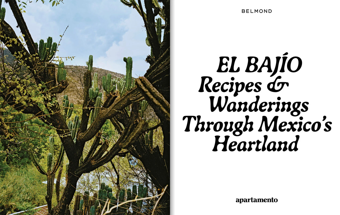 EL BAJÍO: Recipes & Wanderings Through Mexico's Heartland