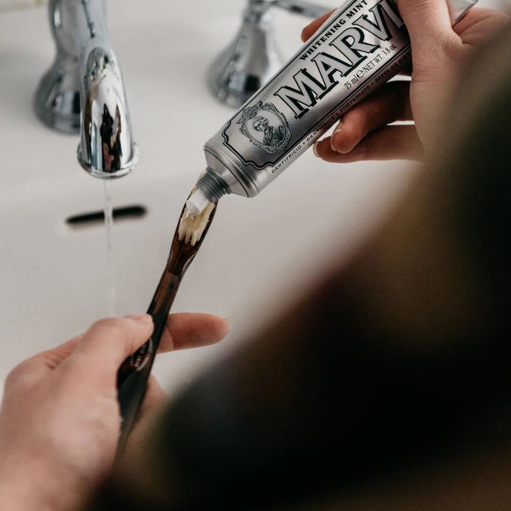 Natural Bristle Toothbrush - Tortiose (Soft)