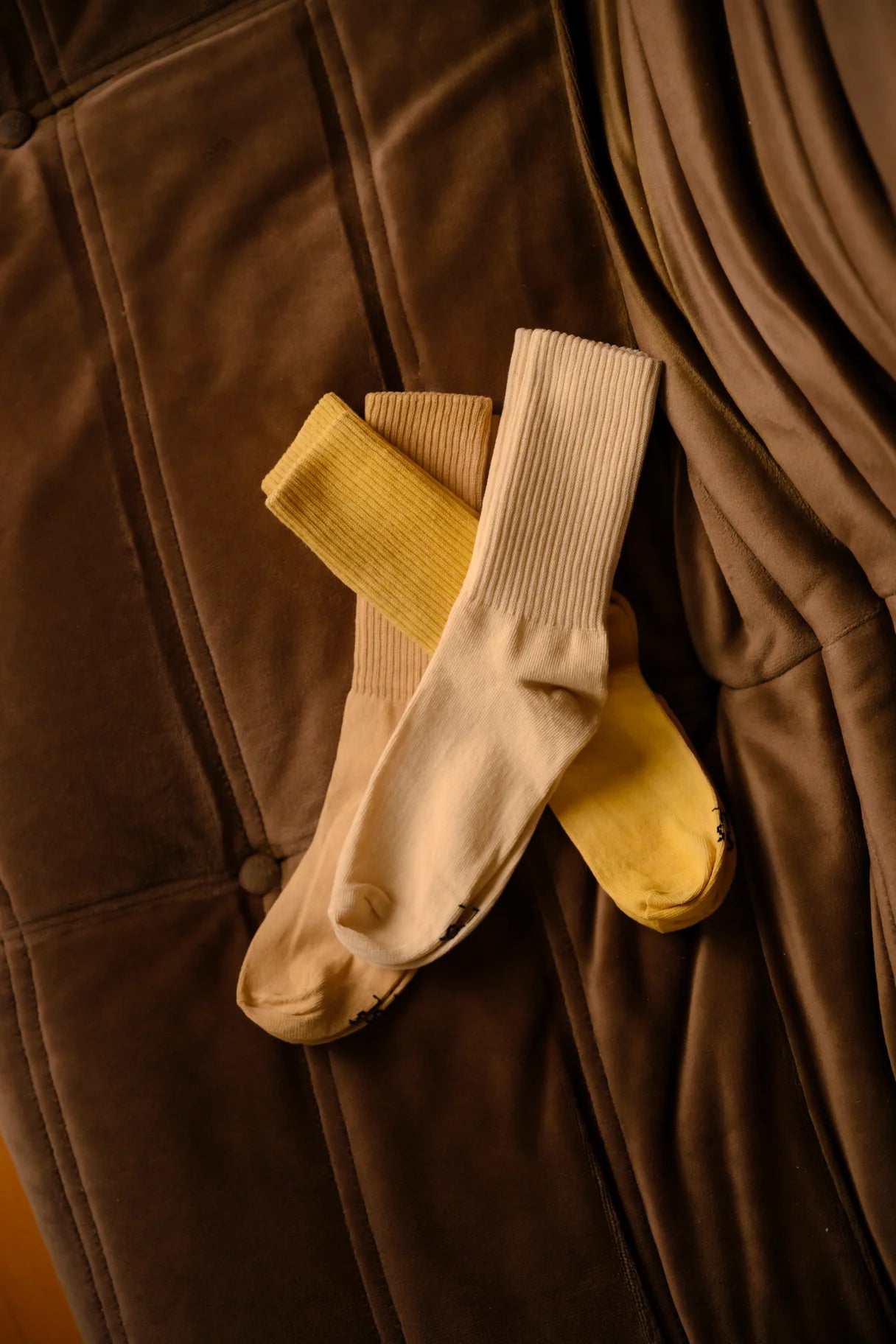 Crew Socks in Café