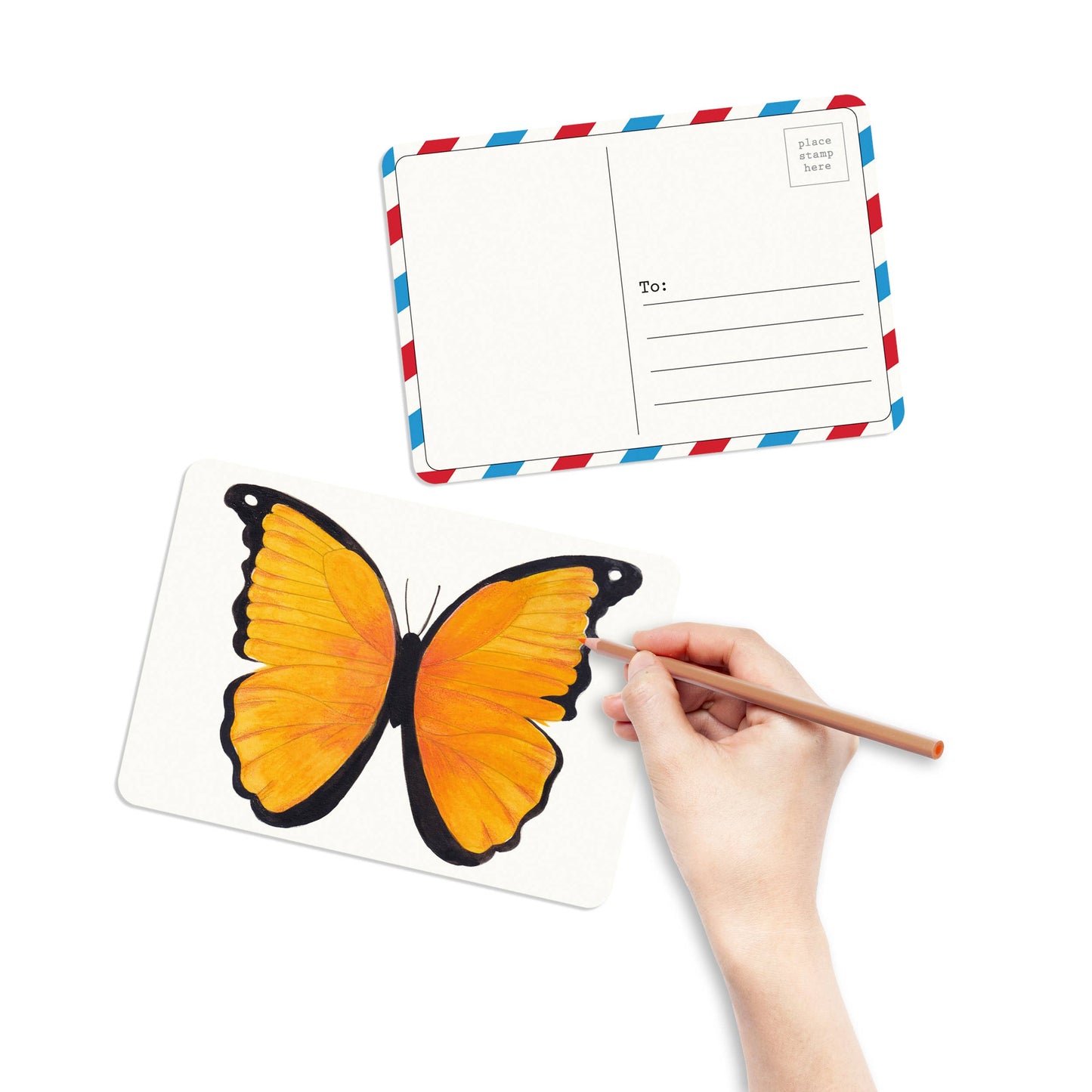 Butterfly  + Moth Coloring Postcards- Set of 30