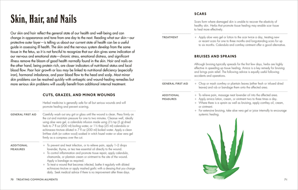 Home Herbal