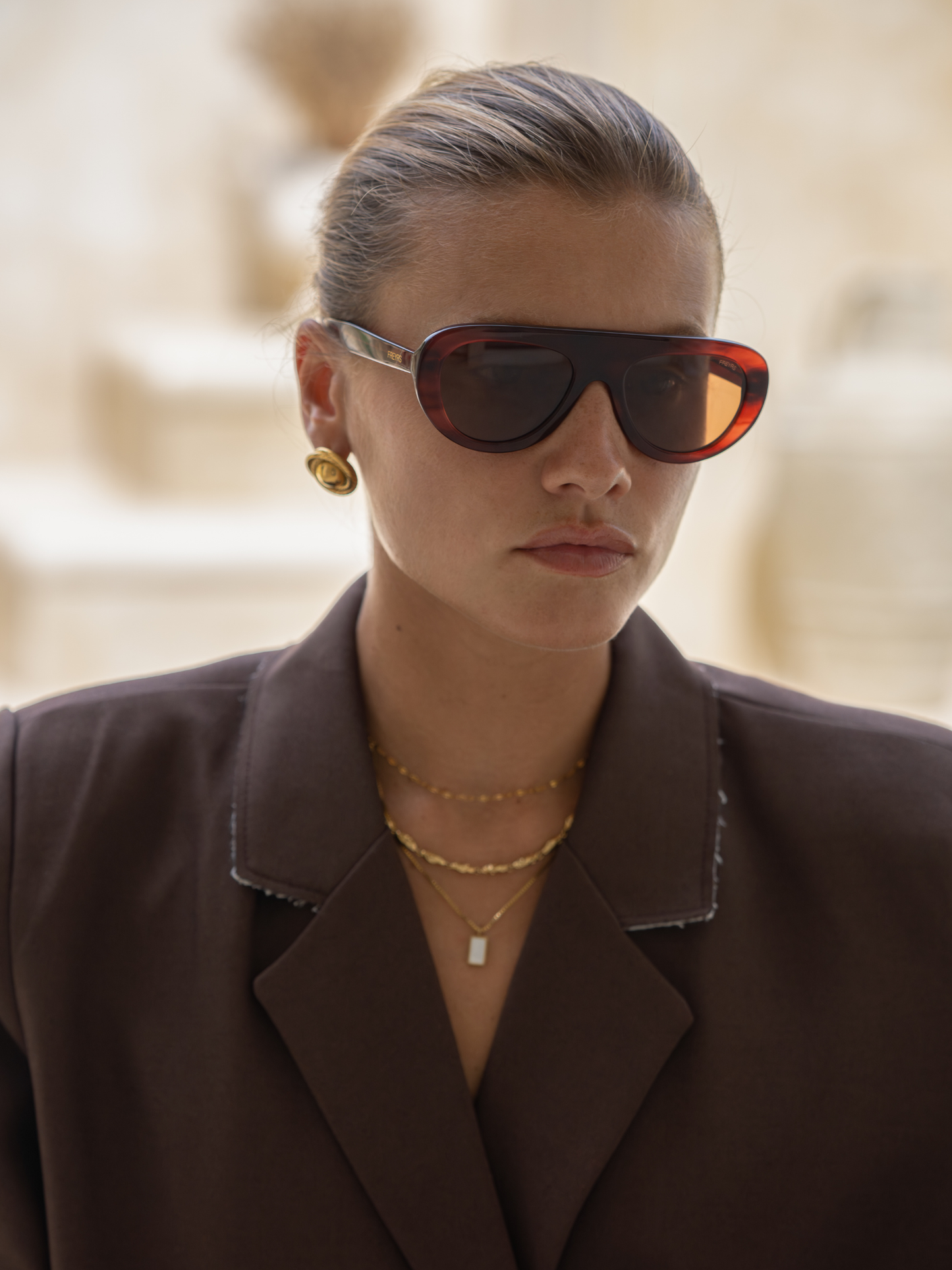Jetsetter Acetate Unisex Aviator Sunglasses