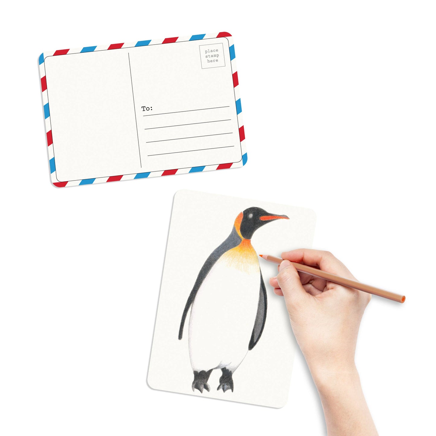 Birds Coloring Postcards - Set of 30