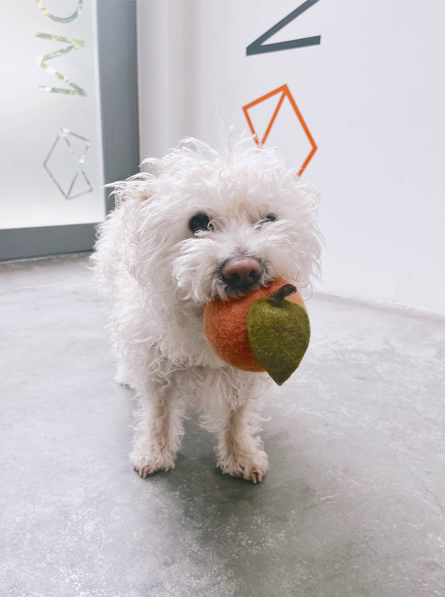 Peach Wool Dog & Cat Toy