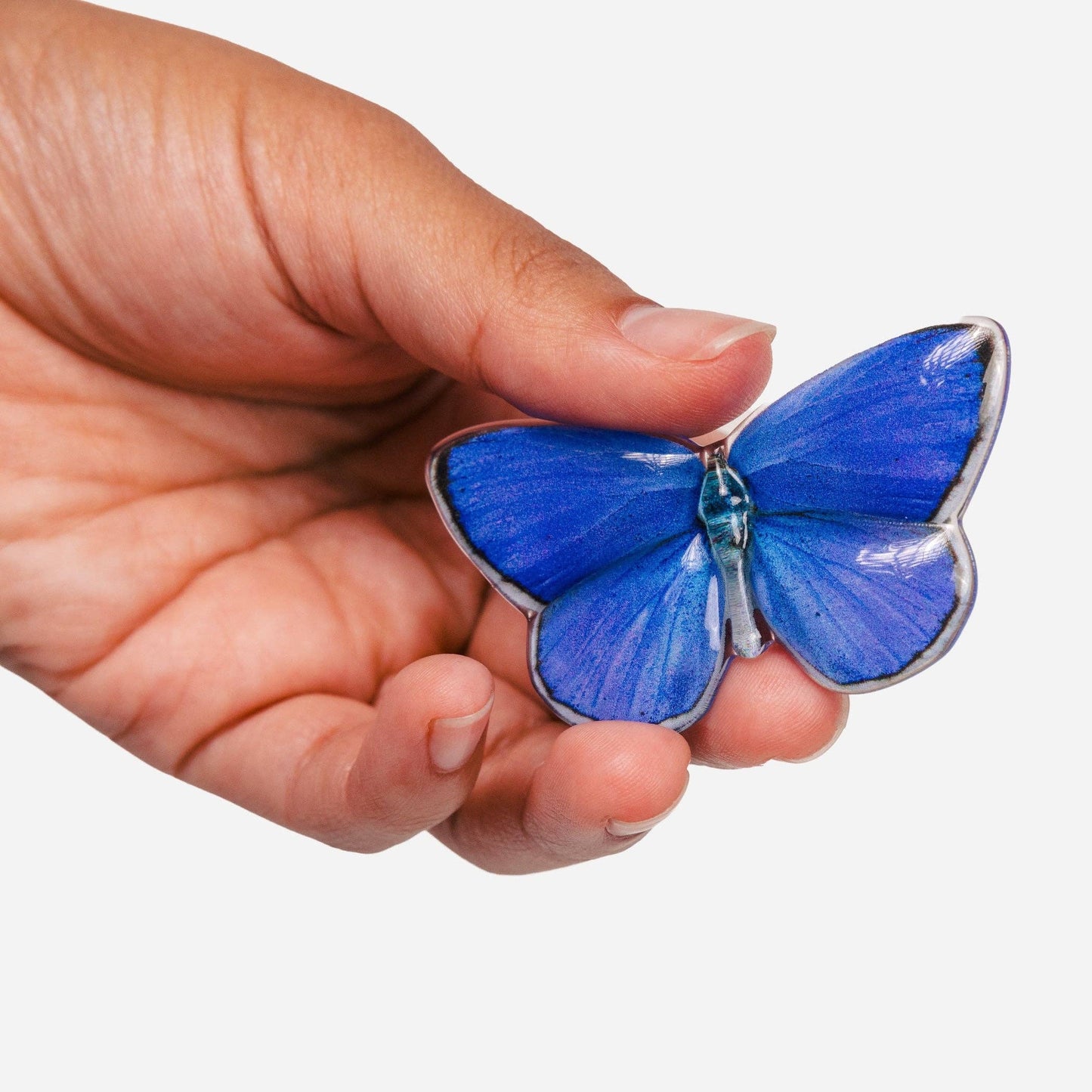 Allie Butterfly Clips in Light Catchers