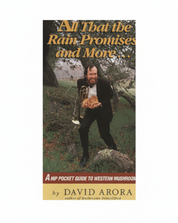 Book cover for 'All That the Rain Promises and More.